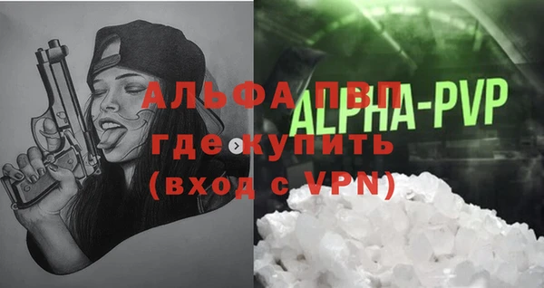 стаф Новозыбков
