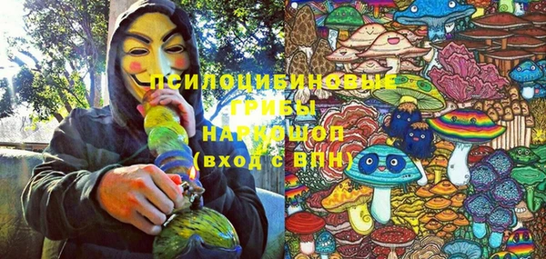 ГАЛЛЮЦИНОГЕННЫЕ ГРИБЫ Абинск