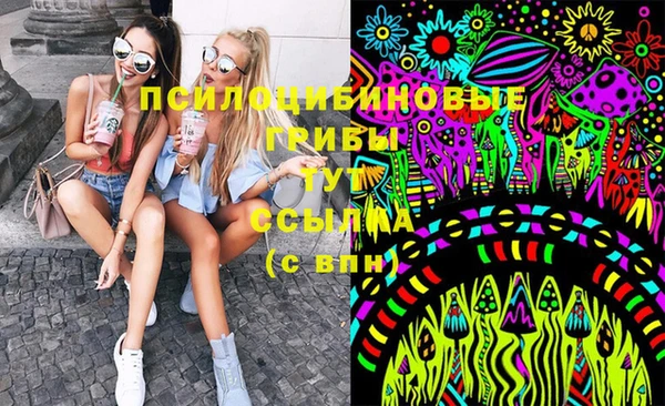 ГАЛЛЮЦИНОГЕННЫЕ ГРИБЫ Абинск